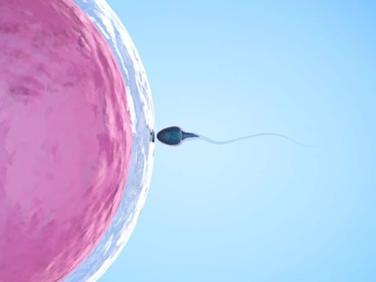 ലൈംഗികത ശ്രെദ്ധികേണ്ട ചില പ്രധാന കാര്യങ്ങൾ fff-jpg_1200x900xt