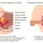 G-Spot_1