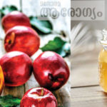 കൊഴുപ്പുരുക്കും മാജിക് സപ്ലിമെന്റോ? ആപ്പിൾ സൈഡർ വിനഗർ ഭാരം കുറയ്ക്കുമോ? മറ്റ് ഔഷധഗുണങ്ങൾ അറിയാം applecidar435