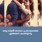 ഒരു സ്ത്രീ തൻ്റെ'പ്രണയത്തെ എങ്ങനെ കാണുന്നു couple love (2)