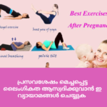 പ്രസവശേഷം മെച്ചപ്പെട്ട ലൈംഗികത ആസ്വദിക്കുവാൻ ഇ വ്യായാമങ്ങൾ ചെയ്യുക exersize