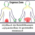സ്ത്രീകൾ അറിഞ്ഞിരിക്കേണ്ട പുരുഷന്മാരിലെ 14 ഉത്തേജിത മേഖലകൾ യോനിയില്_ എപ്പോഴും പുകച്ചിലും ചൊറിച്ചിലും; സ്ത്രീകള്_ അറിയേണ്ടത് (14)
