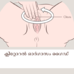 ക്ലിറ്റോറൽ ഓർഗാസം ഗൈഡ് യോനിയില്_ എപ്പോഴും പുകച്ചിലും ചൊറിച്ചിലും; സ്ത്രീകള്_ അറിയേണ്ടത് (3)