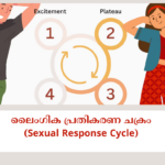 ലൈംഗിക പ്രതികരണ ചക്രം (Sexual Response Cycle): യോനിയില്_ എപ്പോഴും പുകച്ചിലും ചൊറിച്ചിലും; സ്ത്രീകള്_ അറിയേണ്ടത് (4)