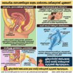 ലൈംഗിക ബന്ധത്തിലൂടെ മാത്രം ഓർഗാസം ലഭിക്കുന്നത് എങ്ങനെ? Gemini_Generated_Image_l52o5ql52o5ql52o