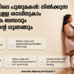 Gemini_Generated_Image_lpl029lpl029lpl0