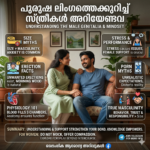 പുരുഷന്മാരും അവരുടെ 'പ്രിയപ്പെട്ട കളിപ്പാട്ടവും': ചില രസകരമായ വസ്തുതകൾ Gemini_Generated_Image_wxwm86wxwm86wxwm