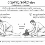 വേണുദരിതകം (Splitting of a Bamboo): ഘടനയും ആസ്വാദന രീതികളും ChatGPT Image May 16, 2026, 06_30_00 PM